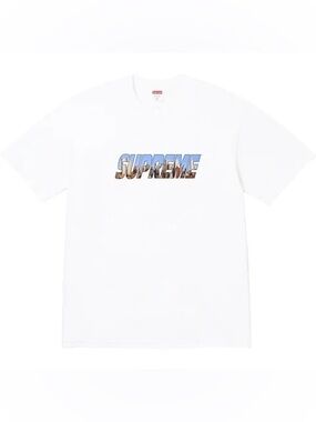 Authentic Supreme White Gotham Tee with Multicolor Scenic Logo size L